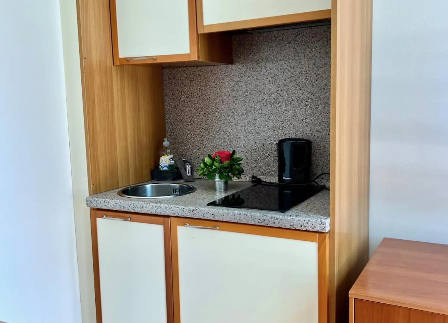 Villa Valdepian Apartments Savudrija